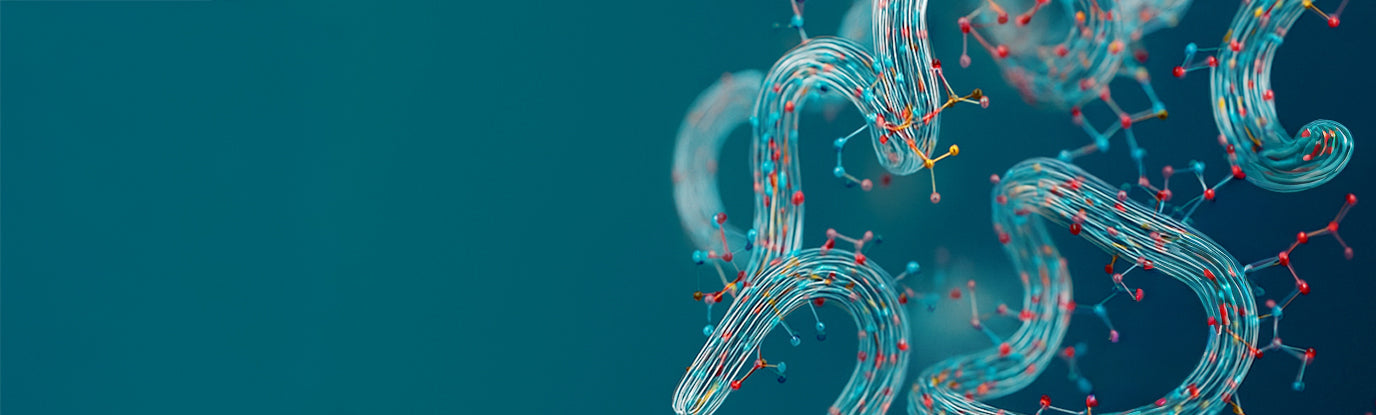 An Introduction to Rubisco & Its Potential in Nutrition