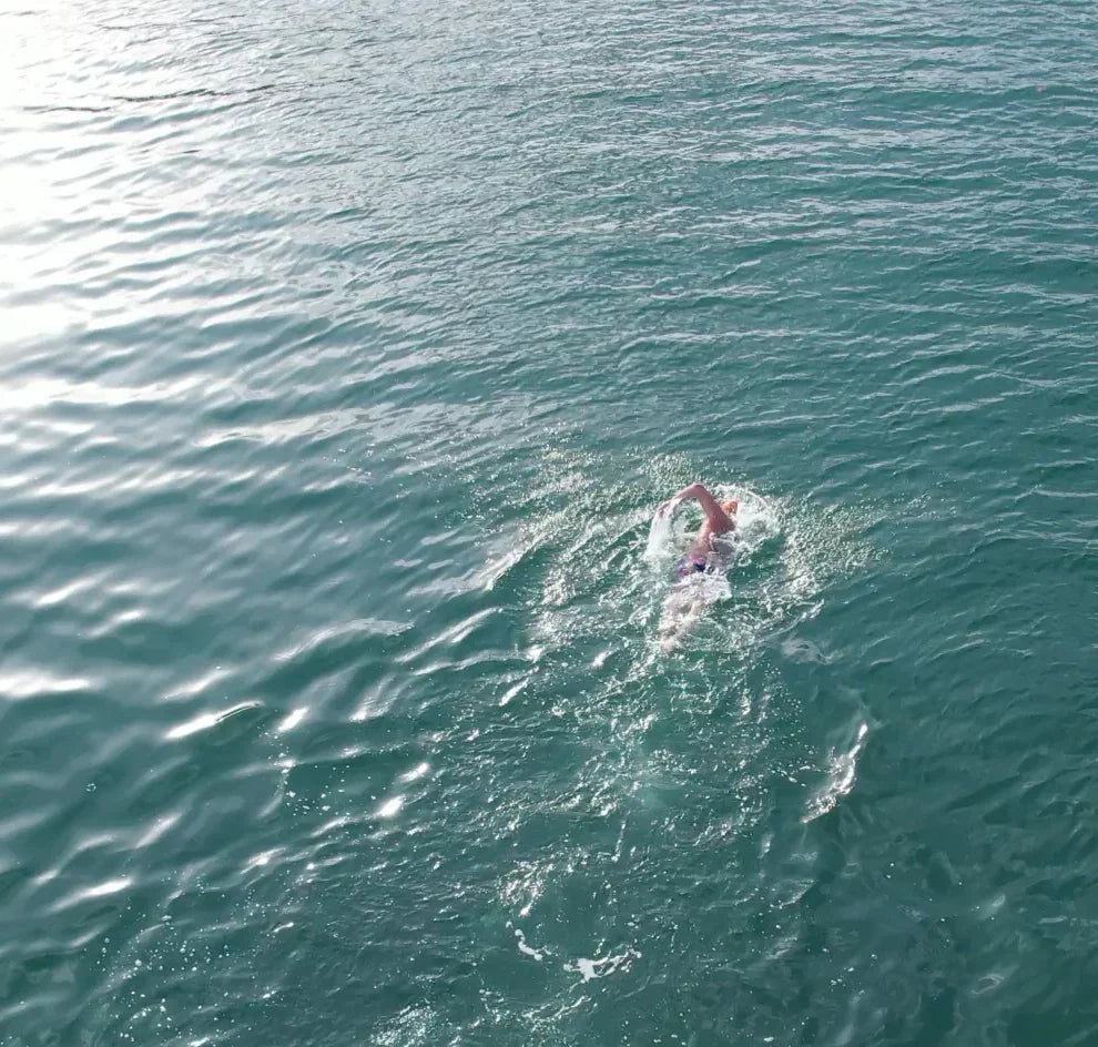 Digestion Rates of Different Protein Types