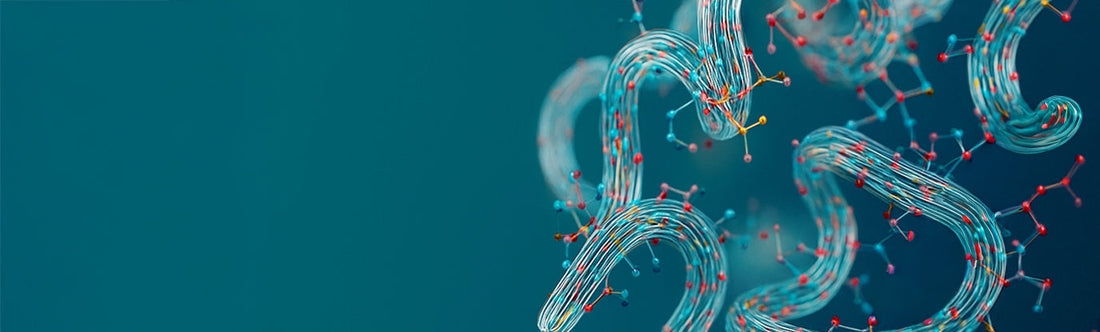 An Introduction to Rubisco & Its Potential in Nutrition