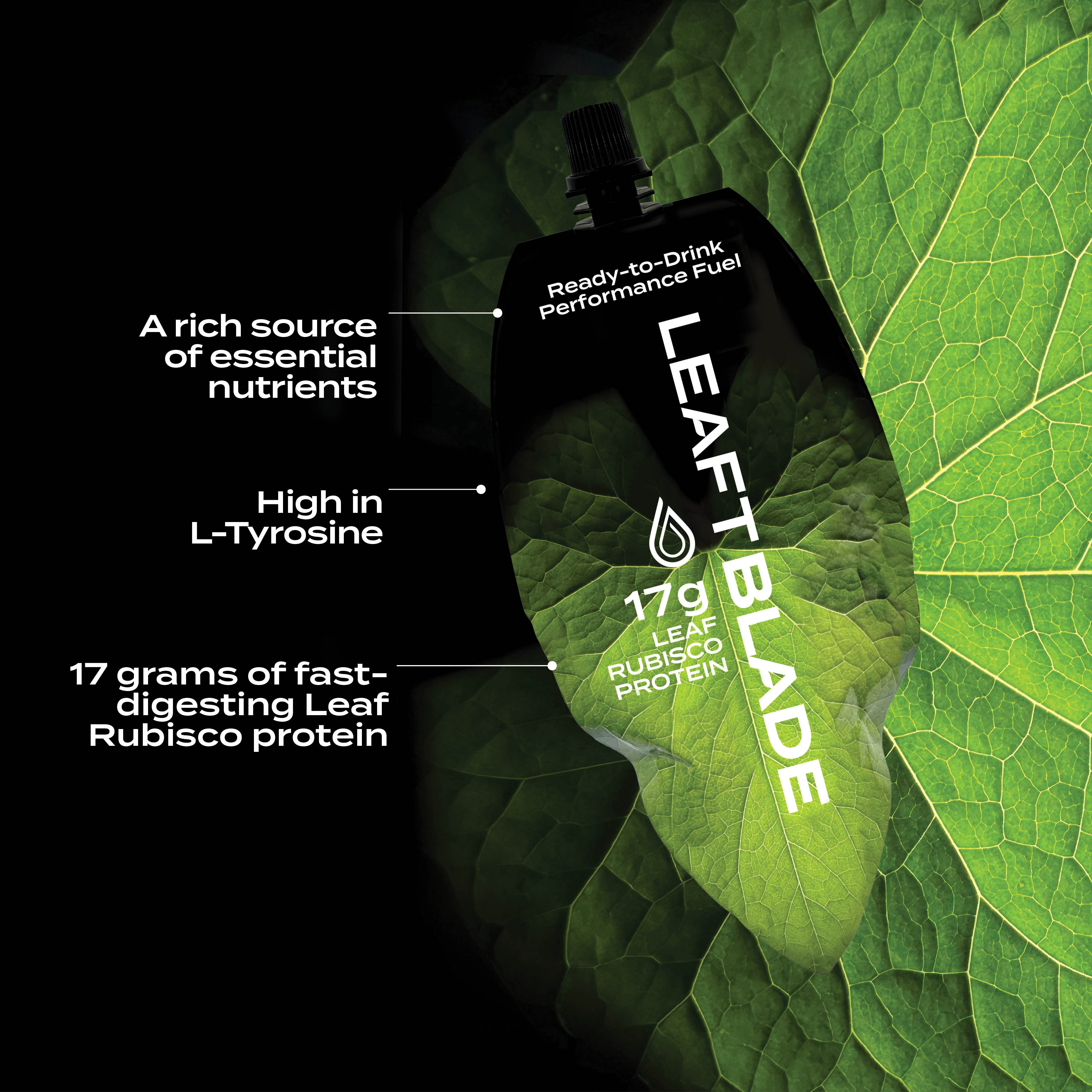 Leaft blade, the future - right now