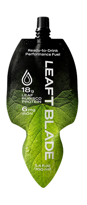 Leaft Blade pouch